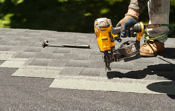 Best Roof Gutter Cleaning  in Proctor, VT